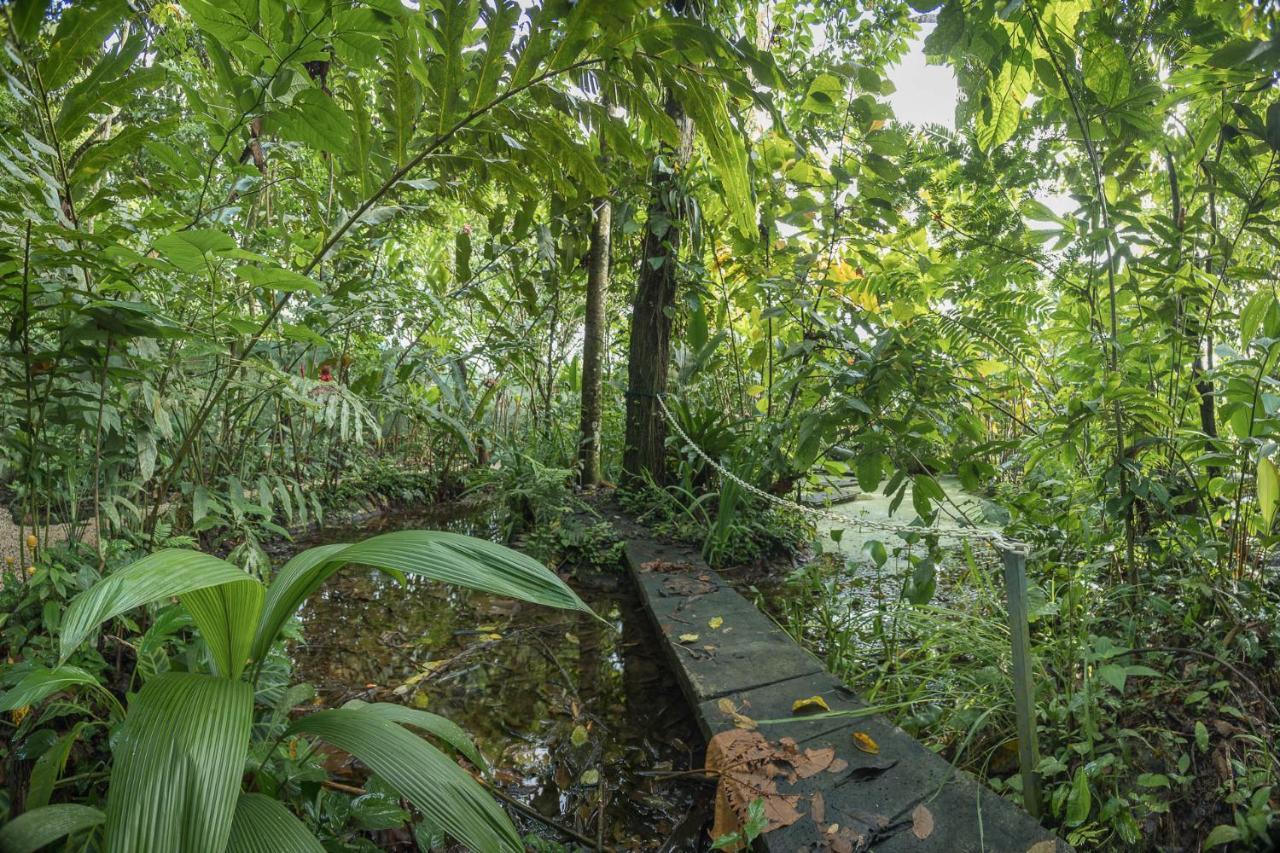 Cabanas Del Rio La Fortuna Exterior photo
